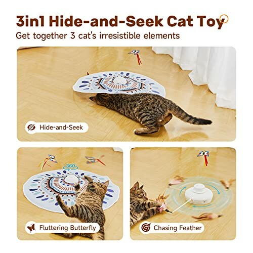 Cat playing with 3-in-1 hide-and-seek toy.
