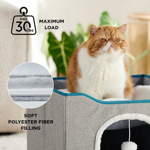 Cat playing with plush ball inside a cat condo.