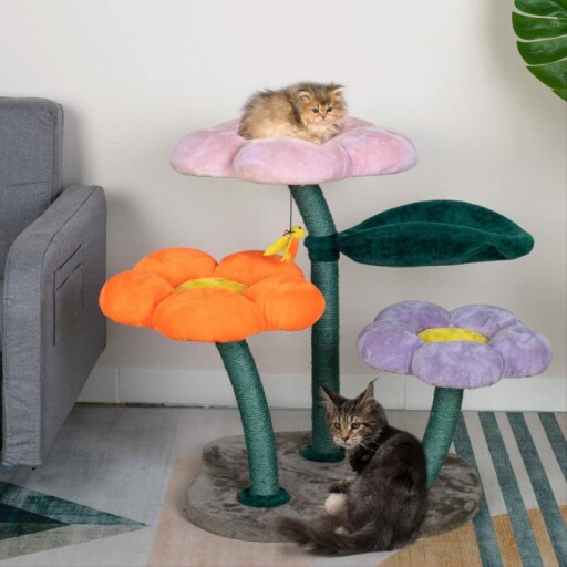 Happy cat playing on the flower cat tree with bee hanging ball