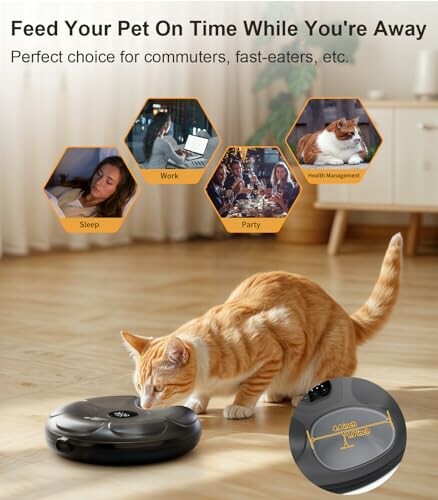 Cat eating from an automatic pet feeder with lifestyle images.