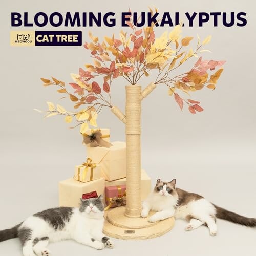 Blooming Eucalyptus cat tree with two relaxed cats and gift boxes.