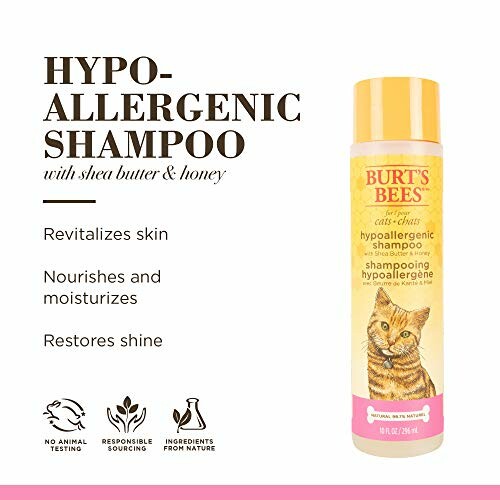 Burt's Bees Hypoallergenic Cat Shampoo with Shea Butter and Honey