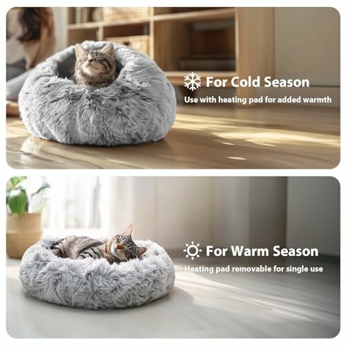 Cat in fluffy bed for cold and warm seasons.