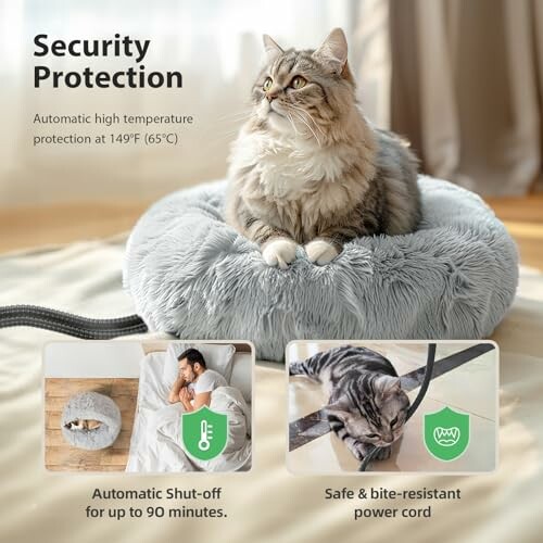 Cat on heated bed with security protection features highlighted.