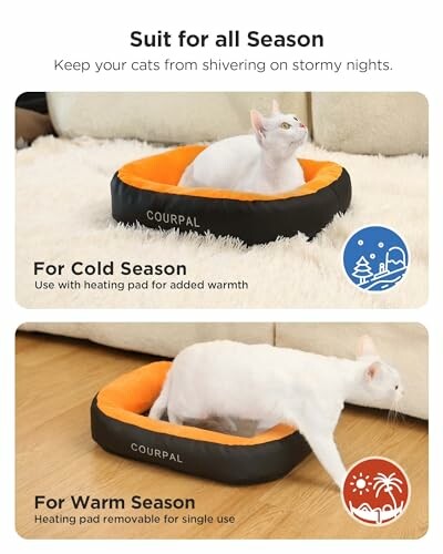 Cat in a cozy bed for all seasons, with options for cold and warm use.