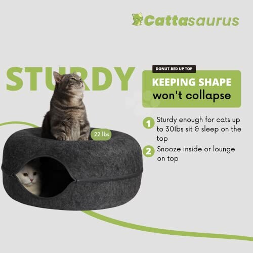 Two cats on a sturdy donut-shaped cat bed.