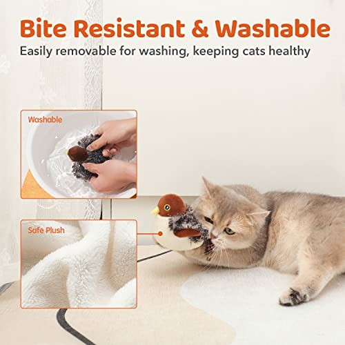 Cat with bite resistant and washable toy, includes washing instructions.