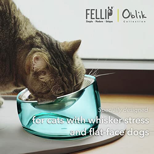 Cat using a specially designed bowl for whisker stress relief.