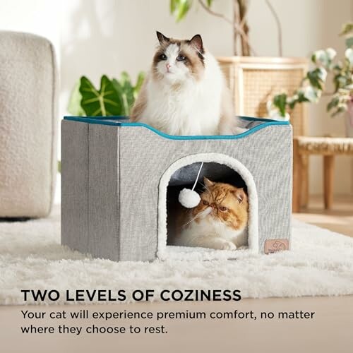 Two cats relaxing in a two-level cat condo.