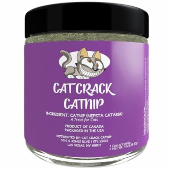 Cat Crack