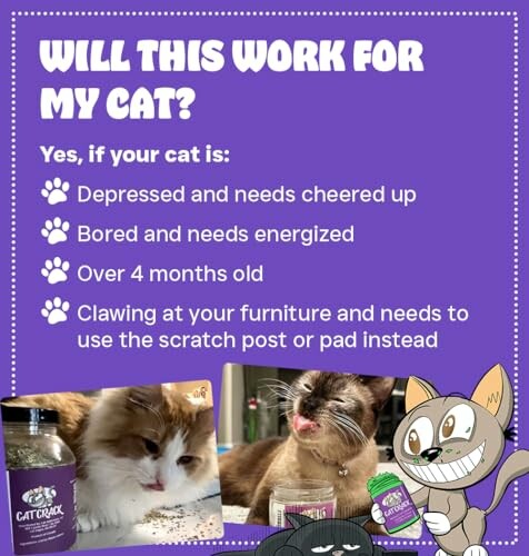 Cat product infographic with benefits listed for cats over 4 months old.