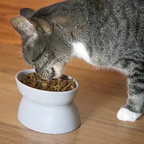 Cat eating from a gray bowl filled with dry food