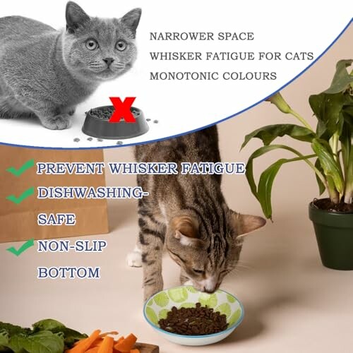 Cat eating from a green bowl designed to prevent whisker fatigue.