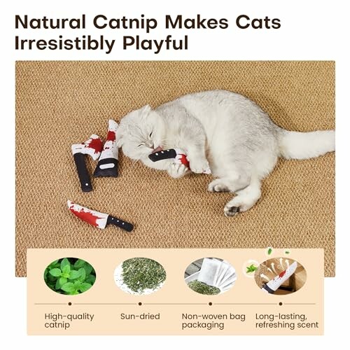 Cat lying on a mat with catnip toys, with benefits listed below.