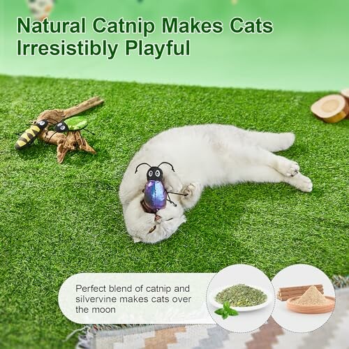 Cat playing with toy on grass, enjoying natural catnip.