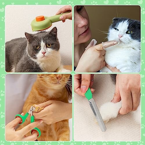 Collage of cat grooming activities: brushing, oral care, nail clipping, and nail filing.