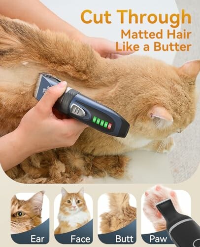 Person using grooming tool on fluffy cat