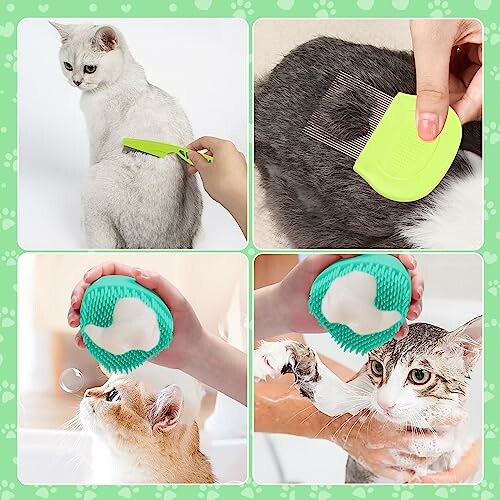 Various cat grooming tools and activities with cats.