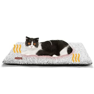 Cat lying on a heated pet bed.