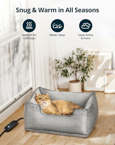 Cat lying in a heated bed by a window with benefits listed above.