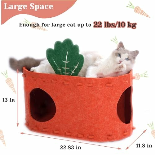 Cat in an orange felt box with carrot design, suitable for large cats up to 22 lbs.