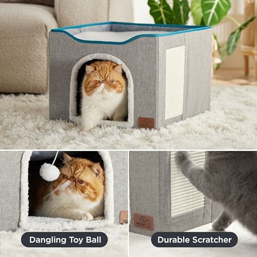 Cat inside a gray fabric playhouse with a scratcher and toy ball.