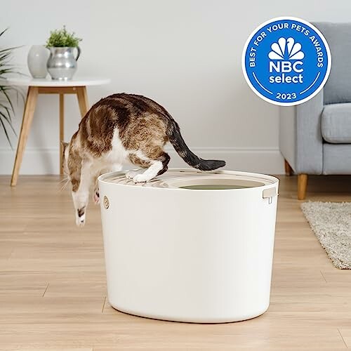 Cat entering a modern top-entry litter box indoors.