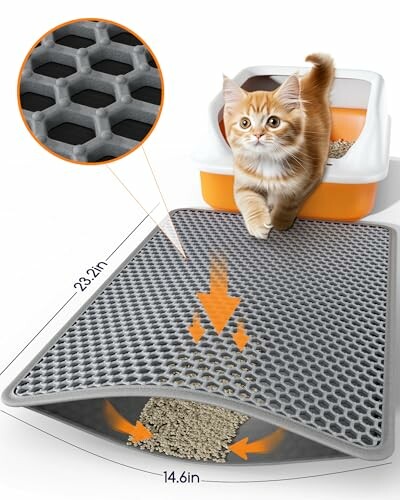 Cat with litter box and honeycomb mat design.