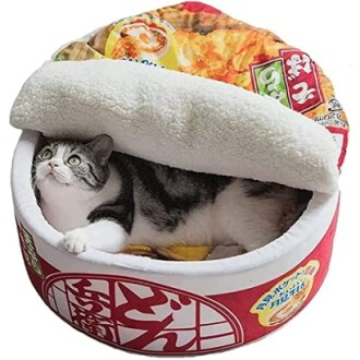 Cat lounging in a noodle bowl-shaped bed, providing a unique and comfortable sleeping space.