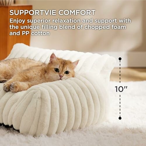 Cat lying on a plush white pillow with text describing support and comfort.