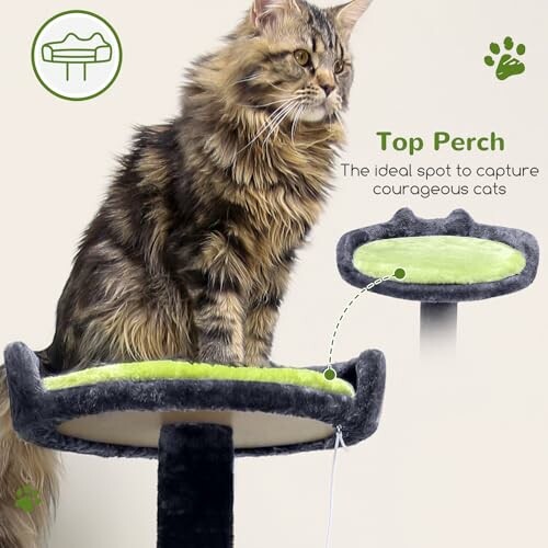 A cat sitting on a top perch of a cat tree.