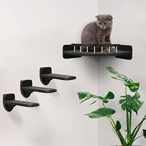 Gray cat sitting on a wall-mounted shelf with green plant below