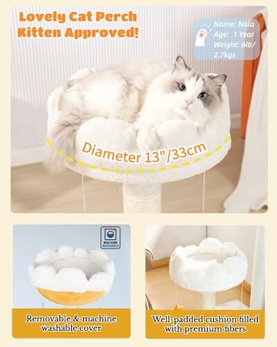 Fluffy cat resting on a cloud-shaped cat perch with product details.