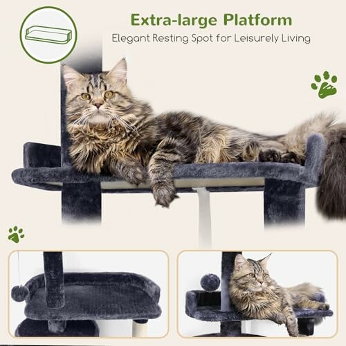 A cat lounging on an extra-large platform with plush material.
