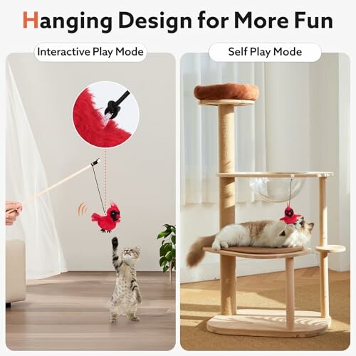 Cat playing with hanging toy next to a cat tree.