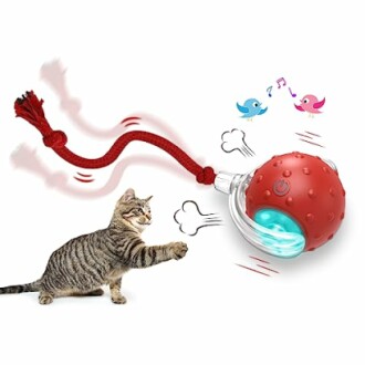Interactive Cat Toys Ball