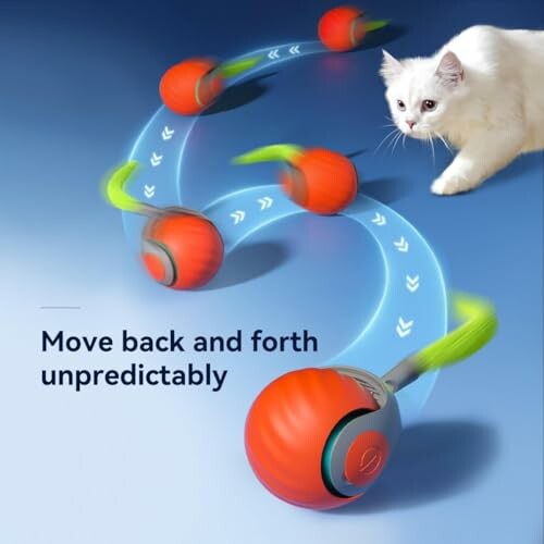 White cat playing with a moving toy ball on a blue surface.