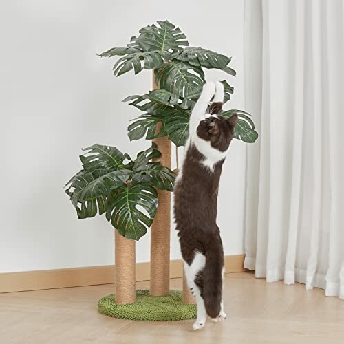Cat reaching up to a tall plant with large leaves.