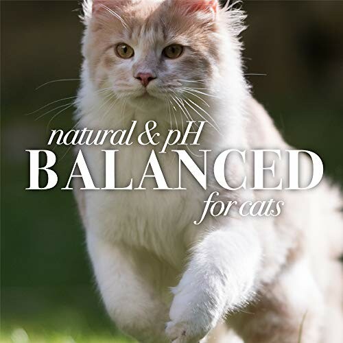 Cat running on grass with text about natural and pH balance for cats.