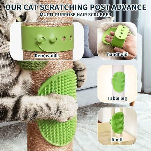 Cat using a scratching post with a multi-purpose hair scrubber.