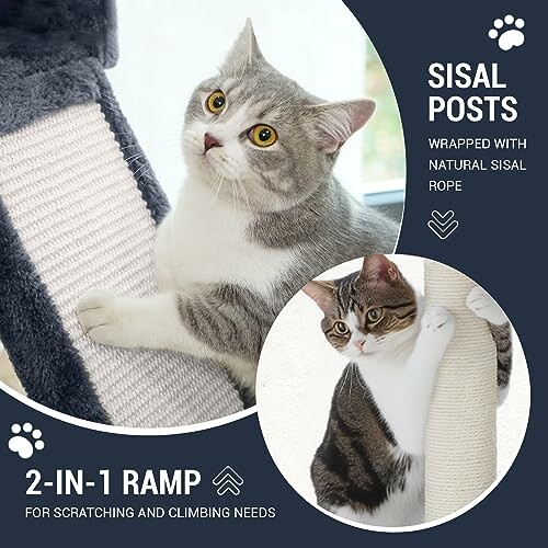 Cats using a sisal post and ramp for scratching and climbing.