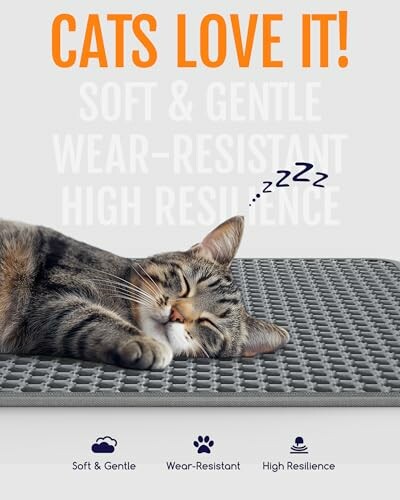 Cat sleeping on a soft, wear-resistant mat.