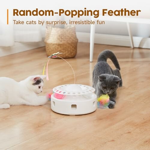 Cats playing with a random-popping feather toy on the floor.