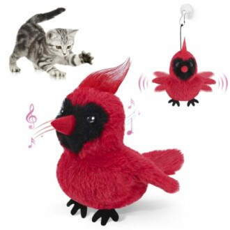 Cat playing with a red plush bird toy that emits musical notes.