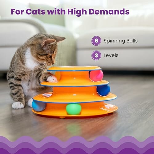 Cat playing with a three-level spinning ball toy.