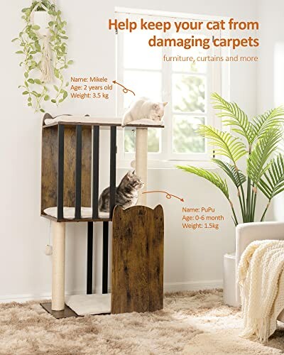 Two cats on a multi-level cat tree in a living room, demonstrating the cat tree's ability to fit into any home decor.