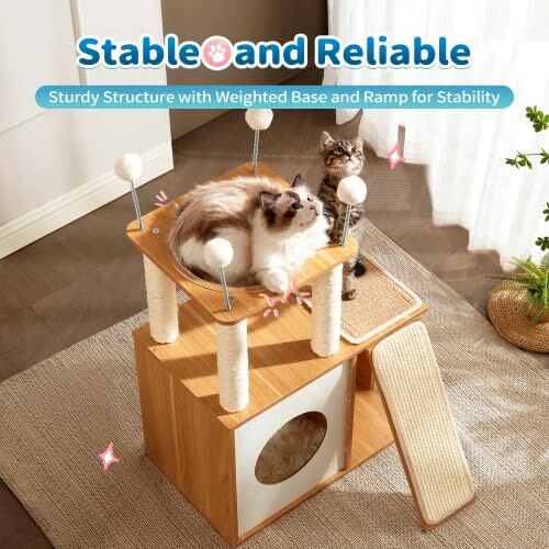 Two cats on a stable cat tree with scratching posts and ramp.