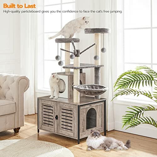 Cats playing on a multi-level cat tree with storage cabinet.