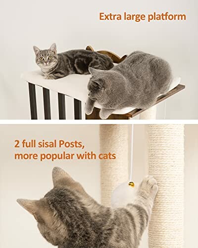 Cats on a large platform with sisal posts, demonstrating the cat tree's ability to provide a comfortable scratching and tickling environment.