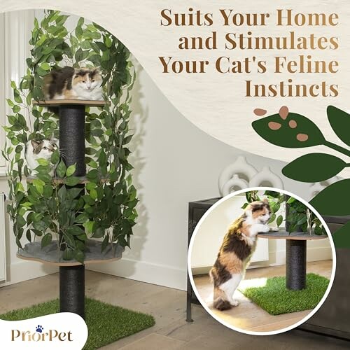 Cat enjoying a leafy cat tree indoors